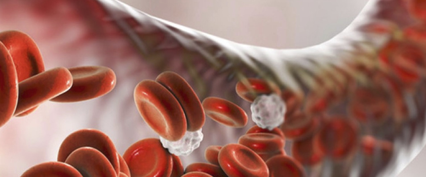 Blood Flow Blood Flow