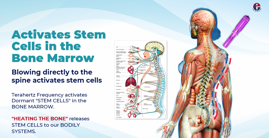 Stem Cell1 Stem Cell1