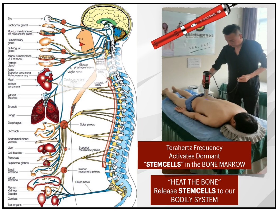 StemCell Pic1 StemCell Pic1