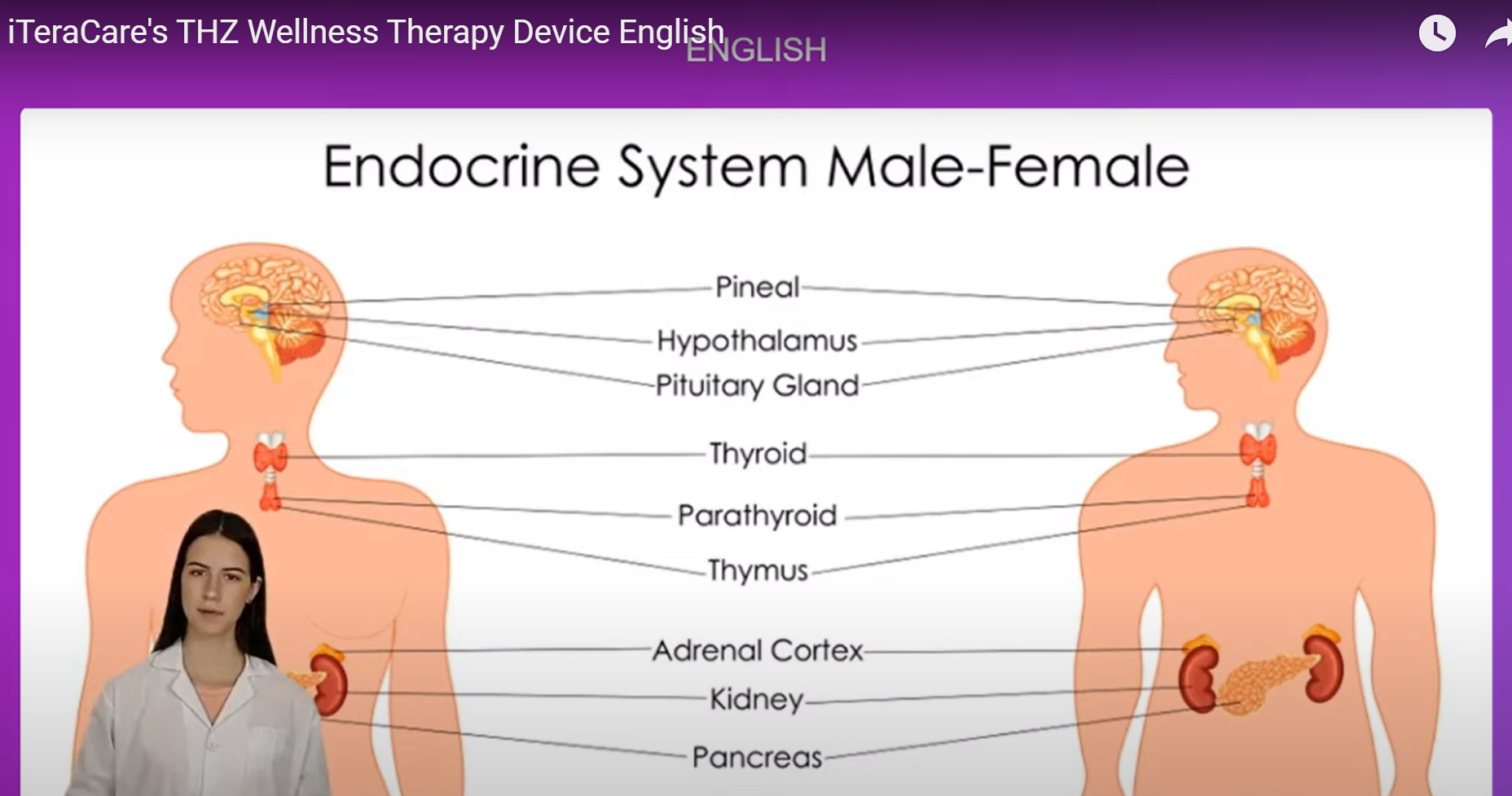English Presentation