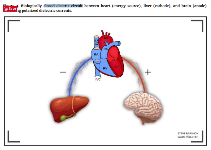 biological Pic7 biological Pic7